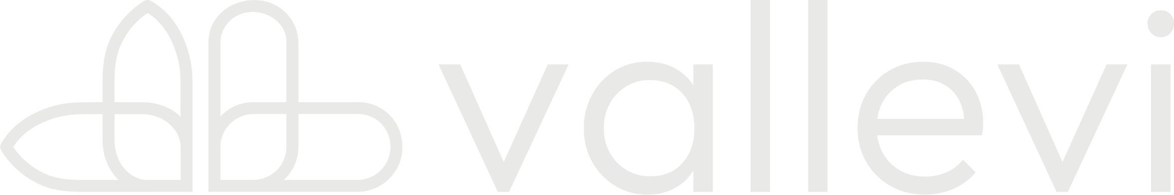 Vallevi
